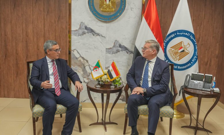 مباحثات مصرية جزائرية لتعزيز التعاون في البترول والغاز