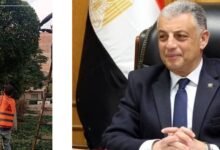 محافظ الإسماعيلية يتابع مواصلة تطوير الحدائق ورفع كفاءة المداخل الرئيسية