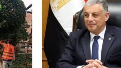 محافظ الإسماعيلية يتابع مواصلة تطوير الحدائق ورفع كفاءة المداخل الرئيسية