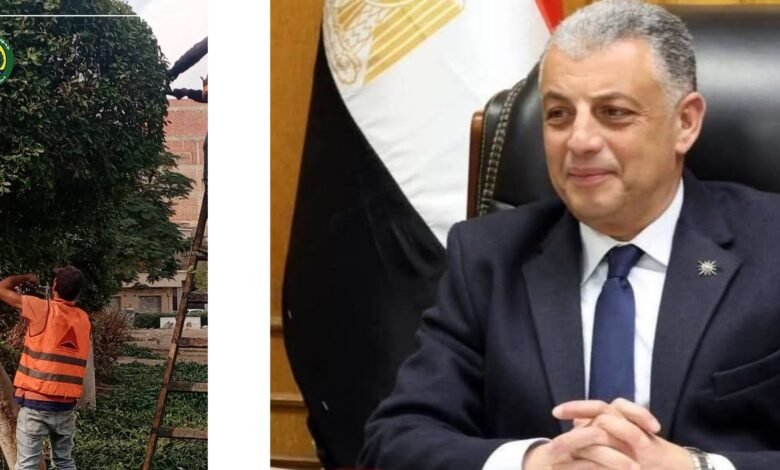 محافظ الإسماعيلية يتابع مواصلة تطوير الحدائق ورفع كفاءة المداخل الرئيسية