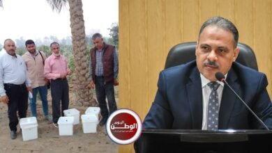محافظ الشرقية يؤكد استمرار الجهود الزراعية لتحقيق تنمية خضراء مستدامة بالمحافظة