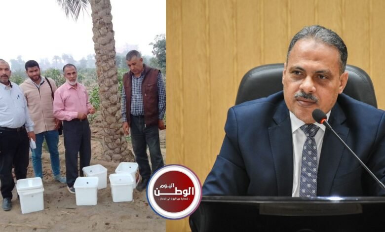 محافظ الشرقية يؤكد استمرار الجهود الزراعية لتحقيق تنمية خضراء مستدامة بالمحافظة