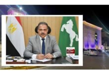 محافظ الشرقية يحيل ٤٩ موظفًا للتحقيق لضبط الأداء بالخدمات العامة 