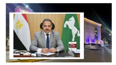 محافظ الشرقية يحيل ٤٩ موظفًا للتحقيق لضبط الأداء بالخدمات العامة 