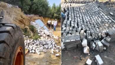 محافظة الشرقية تواصل إزالة التعديات ضمن المرحلة الثالثة للموجة ٢٧