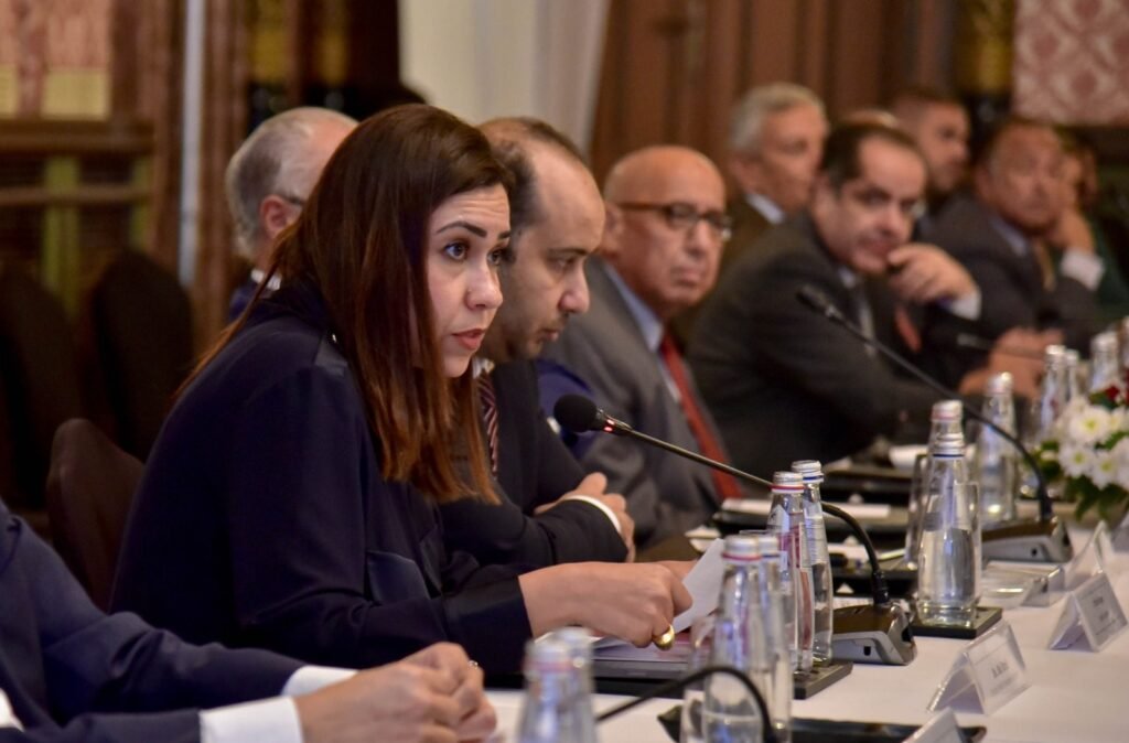 مصر والهند تبحثان التعاون الصحي والصناعات الدوائية المشتركة