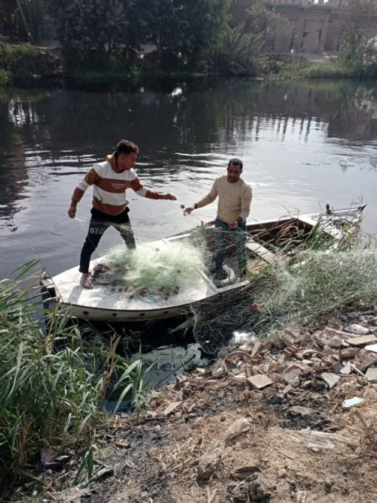 اصطياد التمساح في مصرف الزوامل بالشرقية بعد جهود موسعة من الأجهزة التنفيذية