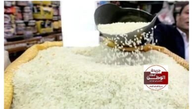 أسعار الأرز الشعير والأبيض اليوم السبت 13 ديسمبر 2025 بأسواق الشرقية