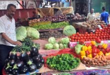 أسعار الخضروات اليوم الخميس 11 ديسمبر 2025 في القاهرة والشرقية