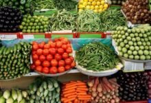 أسعار الخضروات والفاكهة غدا الاثنين 8 ديسمبر 2025 في مصر استقرار مع تباين طفيف