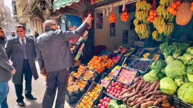 أسعار الخضروات والفاكهة في الأسواق المصرية غدًا الأحد 28 ديسمبر 2025