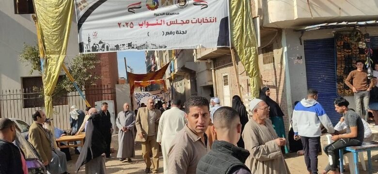 إعادة انتخابات الدائرة السابعة بالشرقية ستة مرشحين يتنافسون على ثلاثة مقاعد