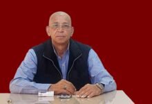 بقلم حسن النجار مصر ترسخ سيادة القانون وتصون نزاهة الانتخابات