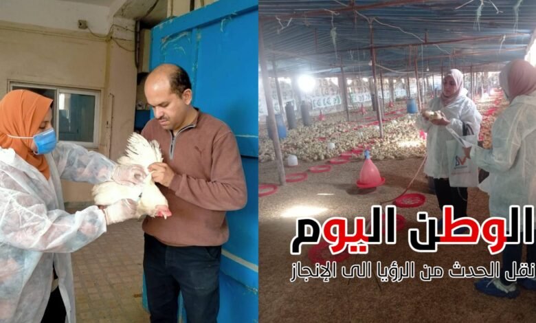 بيطري الشرقية يحصن 142895 طائراً ضد أنفلونزا الطيور في نوفمبر