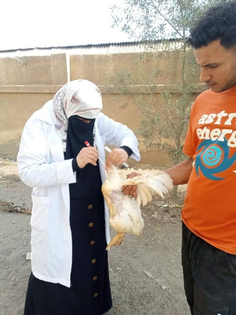 بيطري الشرقية يحصن 142895 طائراً ضد أنفلونزا الطيور في نوفمبر