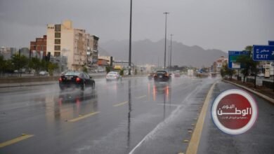 حالة الطقس اليوم الاثنين 8 ديسمبر 2025 في مصر أمطار وبرودة معتدلة