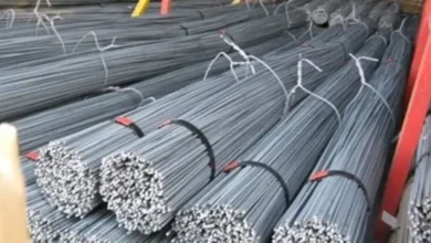 سعر طن حديد عز اليوم الثلاثاء 30 ديسمبر 2025 في مصر