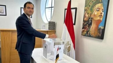 متابعة رسمية شاملة لانطلاق تصويت المصريين بالخارج في الدوائر الملغاة