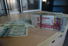 منحة البطالة 2025 في الجزائر شروط التسجيل والتجديد الجديدة