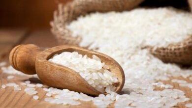 أسعار الأرز الشعير والأبيض تستقر في الأسواق المصرية اليوم الخميس