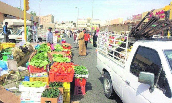 استقرار أسعار الخضروات والفاكهة في أسواق الشرقية اليوم الخميس ا - يناير 2026 