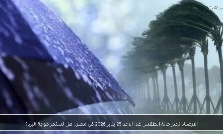 الأرصاد تحذر حالة الطقس غدا الأحد 25 يناير 2026.. هل تستمر موجة البرد؟