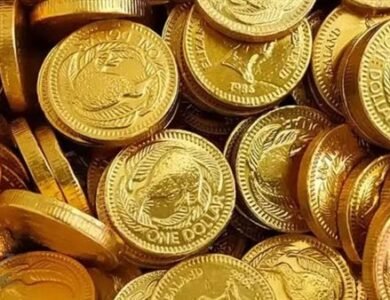 الجنيه الذهب يقفز لاعلي مستويات قياسية جديدة في مصر اليوم