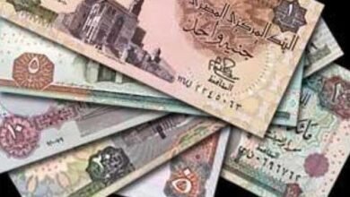 الجنيه المصري يفاجئ المؤسسات العالمية بتحسن قوي أمام الدولار 2026