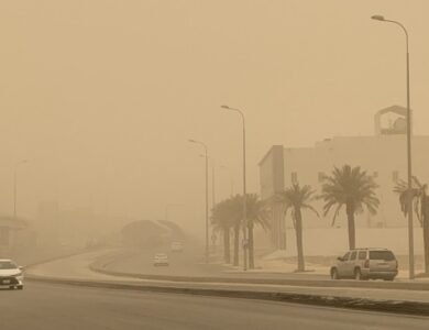 الشبورة الكثيفة والبرودة الليلية.. حالة الطقس اليوم الأحد 18 يناير 2026