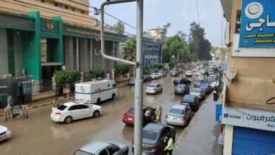 حالة الطقس في مصر ارتفاع طفيف في درجات الحرارة مع شبورة صباحية كثيفة الأربعاء