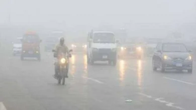 درجات الحرارة والطقس اليوم السبت 17 يناير 2026 شبورة كثيفة وصقيع