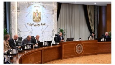 رئيس الوزراء يتابع تنفيذ مشروع الهيدروجين الأخضر بقدرة 100 ميجاوات بالسخنة