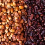 شائعات مجلس الوزراء ينفي استيراد مصر للتمور الإسرائيلية قبل رمضان 2026