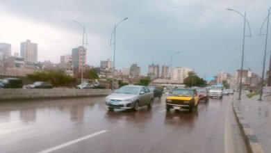 شبورة كثيفة وصقيع وأمطار خفيفة.. حالة الطقس غدًا الجمعة 16 يناير