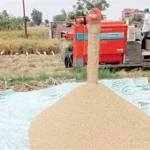 أسعار الأرز الشعير والأبيض اليوم السبت 28 فبراير 2026 في أسواق الشرقية