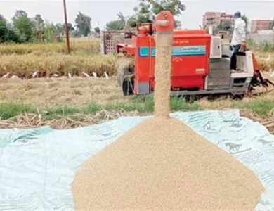 أسعار الأرز الشعير والأبيض اليوم السبت 28 فبراير 2026 في أسواق الشرقية