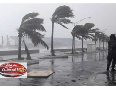 أمطار رعدية وشبورة كثيفة ورياح مثيرة للأتربة في طقس الثلاثاء 24 فبراير