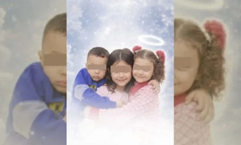 إحالة أوراق المتهم بقتل أطفال قرية الراهب الثلاثة إلى المفتي