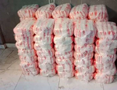 الحكومة تفتح باب تصدير السكر فبراير 2026 بعد توقف 3 سنوات