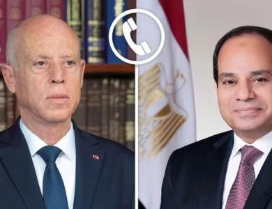 الرئيس السيسي قيس سعيد