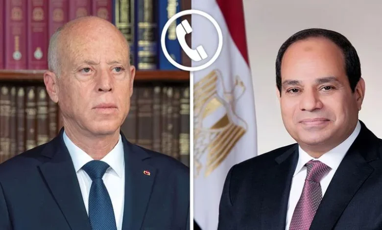 الرئيس السيسي قيس سعيد