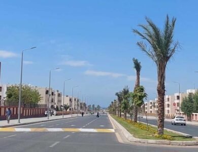 برودة ورياح وشبورة كثيفة.. الأرصاد تكشف طقس الجمعة وتحذيرات مهمة للمواطنين