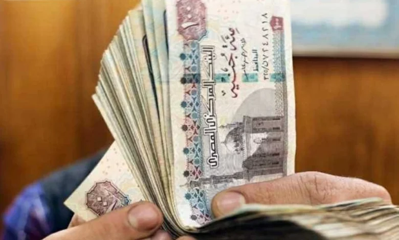 تبكير صرف مرتبات مارس 2026 للمعلمين قبل عيد الفطر رسميًا من وزارة المالية