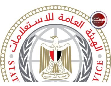 هيئة الاستعلامات تناشد الإعلام الأجنبي الالتزام بالبيانات الرسمية المصرية