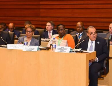 وزير الخارجية يجدد التزام مصر بدعم استرداد التراث الإفريقي في اليونسكو