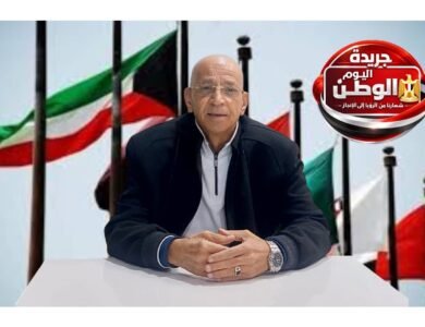 المفكر السياسي حسن النجار تحركات الرئيس السيسي بالخليج تؤكد وحدة معركة الأمن العربي