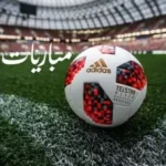 بلجيكا تواجه أمريكا وتونس تصطدم بهايتي.. مواعيد مباريات اليوم السبت 28 مارس 2026