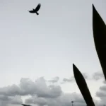 تصعيد خطير بين إيران وإسرائيل وغارات متبادلة تهز المنطقة بقوة