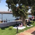 الأرصاد تكشف خريطة الطقس من 4 إلى 8 أبريل.. شبورة ورياح وأجواء دافئة نهاراً