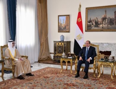 الرئيس السيسي للشيخ جراح جابرالأحمد الصباح يؤكد دعم مصر الكامل لسيادة الكويت وأمنها القومي